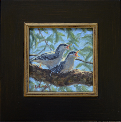 Click to view detail for Nuthatch Chorus 8x8 $355